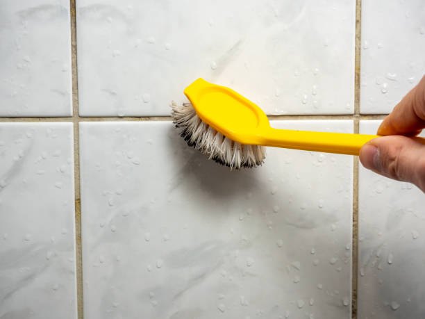 Best Fast Mold Removal  in Yorkville, WI