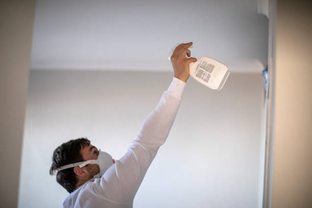 Best Local Mold Removal Service  in Yorkville, WI