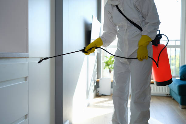 Mold Removal and Inspection in Yorkville, WI