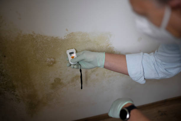 Best Mold Testing  in Yorkville, WI