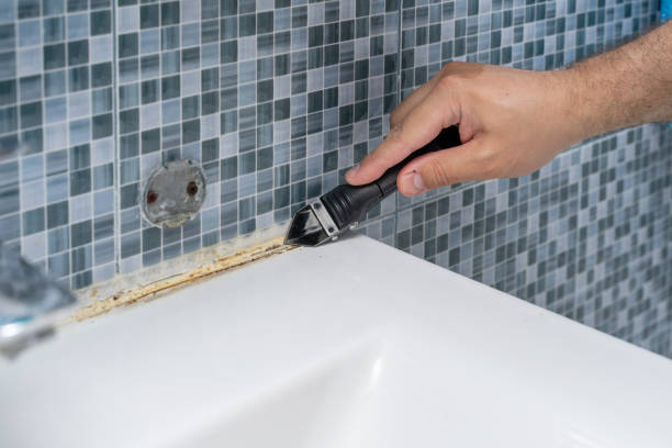 Best Mold Removal Near Me  in Yorkville, WI
